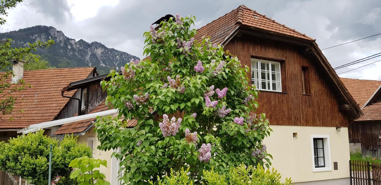 The Oldmillhouse Villa Mojstrana Luaran gambar