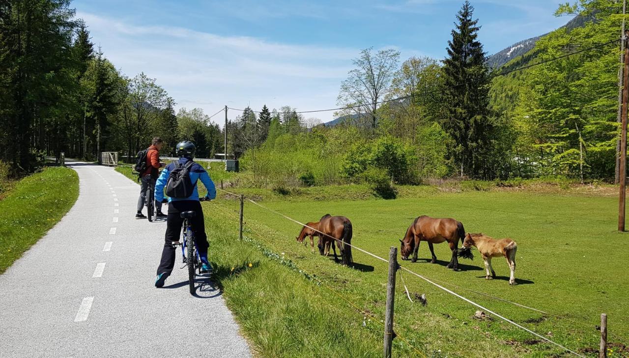 The Oldmillhouse Villa Mojstrana Luaran gambar
